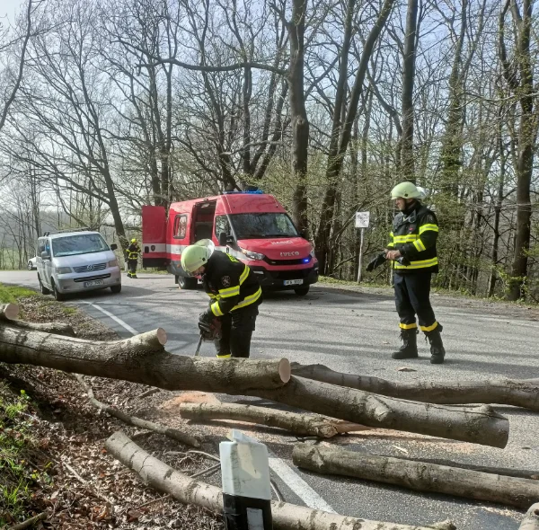 Zásah jednotky SDH Mniší — odstranění spadlého stromu